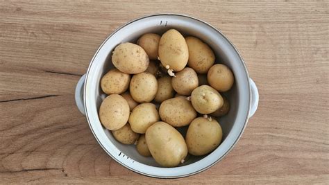 Ilustračné foto rôznych druhov zemiakov