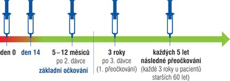 Schéma: postup očkovania na T-rez