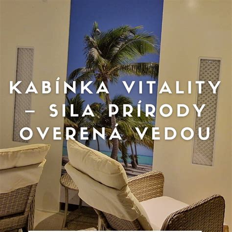 Schéma umiestnenia rastliny: ideálne stanovište na svetlom mieste s rozptýleným svetlom mimo priameho slnka.