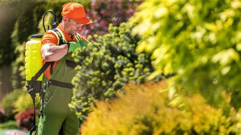 Ukážka rôznych druhov hnojív pre vinič