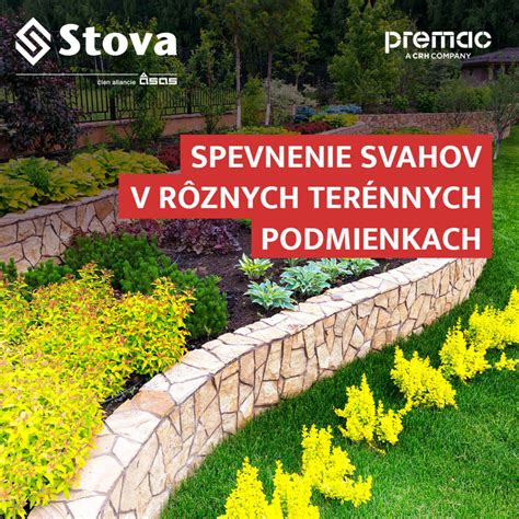 Infografika znázorňujúca typy koreňových systémov stromov vhodných na spevnenie svahov
