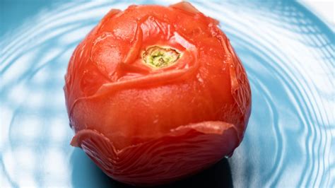 Detailná schéma šúpania paradajok pomocou vriacej vody a narezania šupky