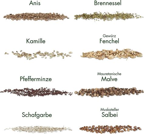 Ilustrácia rôznych druhov konopných semien