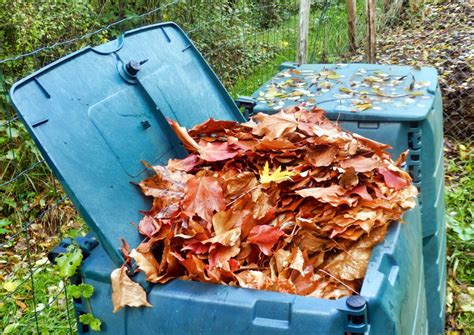Detail drveného materiálu (vetvičky a lístie) pripraveného na kompostovanie