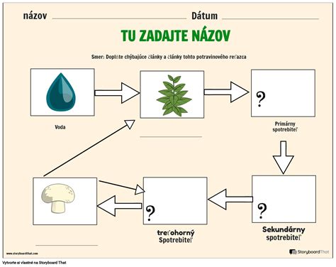 Schéma potravinového reťazca v lužnom lese s dôrazom na orliaka morského