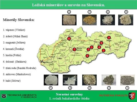 Tematická fotografia vinohradu na Slovensku