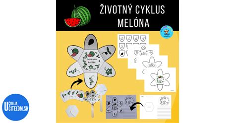 infografika s vizuálnymi znakmi zrelosti melóna