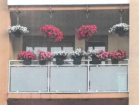 Tematické foto muškátov na balkóne na jeseň