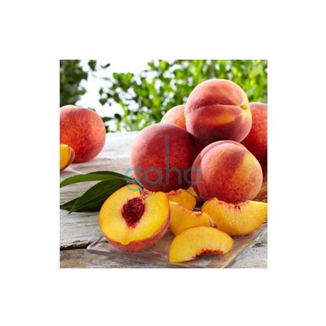 Ilustratívne foto broskyne Flamingo s jej charakteristickým sfarbením a tvarom