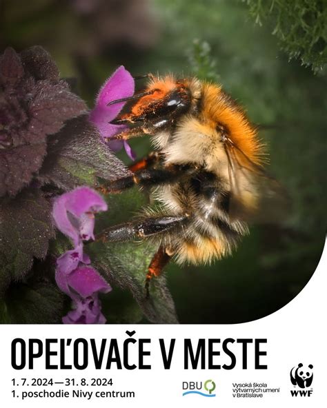 Ilustrácia rôznych opeľovačov (včely, motýle, netopiere) pri práci s kvetmi