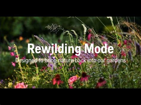 Ilustrácia Rewilding Mode pre vytvorenie zóny divočiny v záhrade