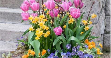 Ilustračná fotografia oleandra v črepníku na slnečnej terase