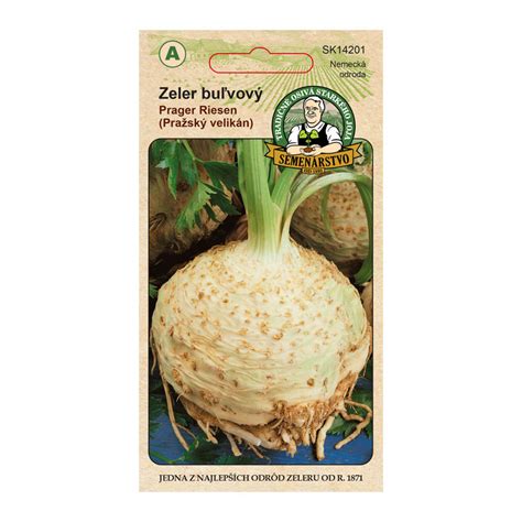 široký záber na malé semienka zeleru pripravené na výsev