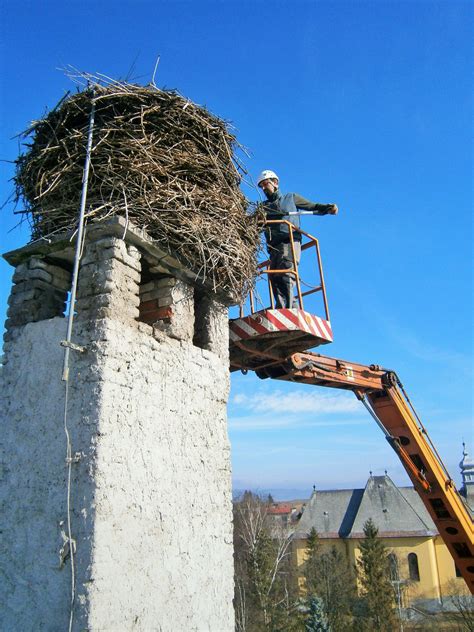 Fotografia bocianieho hniezda na komíne alebo stĺpe