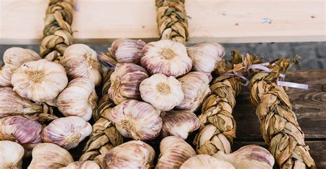 Fotografia: Čerstvo zozbieraný cesnak s pôdou, rôzne odrody