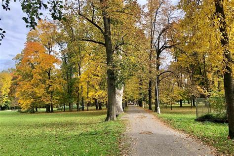 Tematická fotografia výsadby stromov a kríkov v mestskom parku