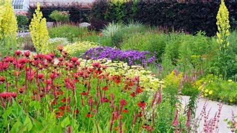 Schéma rozmiestnenia rastlín na trvalkovom záhone