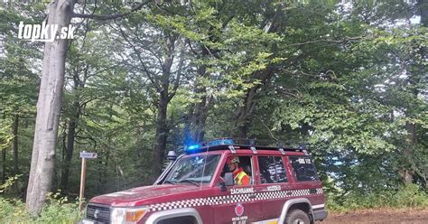 Foto trávničky na skalke