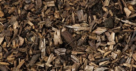 Drevná štiepka ako mulč pod okrasnými kríkmi