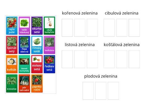 infografika znázorňujúca vhodné druhy zeleniny pre balkónové pestovanie a rozloženie kvetináčov podľa slnečných strán