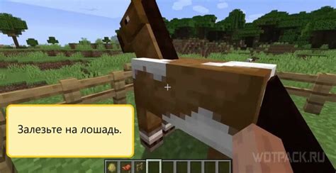 Lamy v Minecrafte v savane