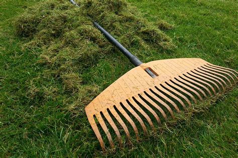 Ilustračná fotografia záhradníka, ktorý hrabe staré lístie z trávnika na jar.
