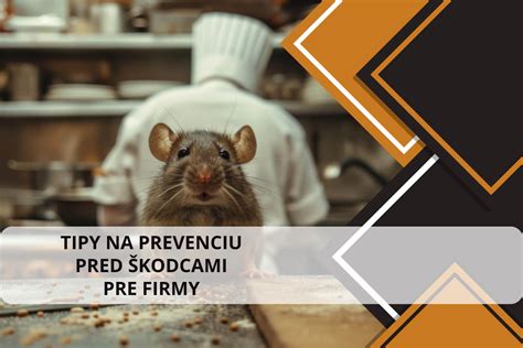 Infografika s bežnými škodcami a chorobami cukety a tipy na prevenciu
