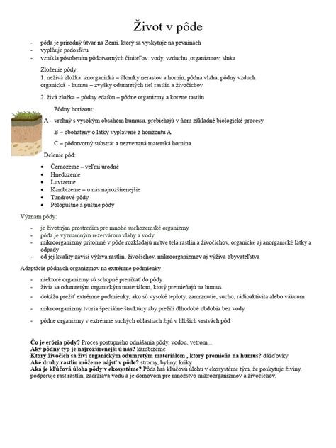 infografika znázorňujúca veľkosť a vzhľad chvostoskokov v porovnaní s iným hmyzom v pôde
