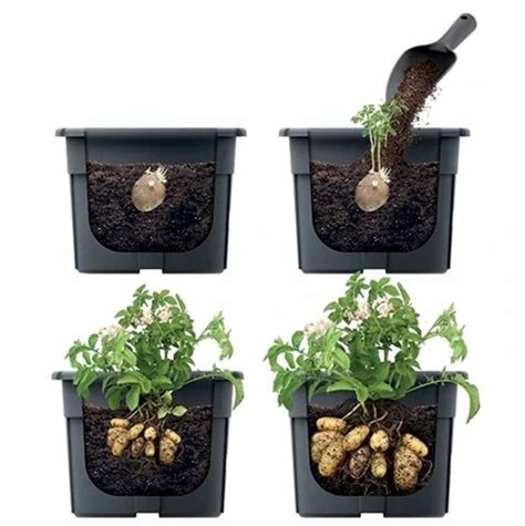 koláž rôznych typov nádob vhodných na pestovanie zemiakov
