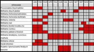 Infografika: ročný cyklus hnojenia a rezu broskyňových stromov
