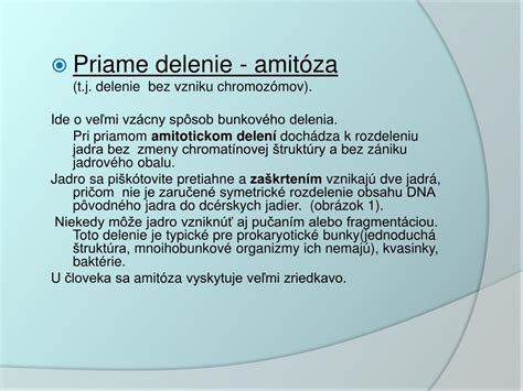 Ilustrácia procesu amitotického delenia jadra