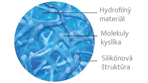 Infografika: Chemická štruktúra tymolu a karvakrolu v silici materinej dúšky