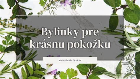 Ilustrácia: Pôsobenie byliniek na pokožku (protizápalový a hojivý efekt)