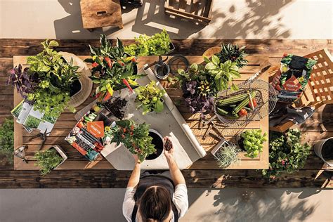 Fotografia rozvrhnutia záhrady s vyznačenými zónami pre zeleninu a okrasné kvety.