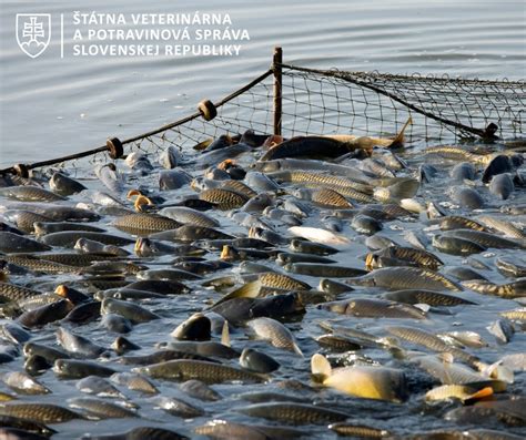 Porovnanie čistej vody a vody znečistenej železitými a mangánovými usadeninami