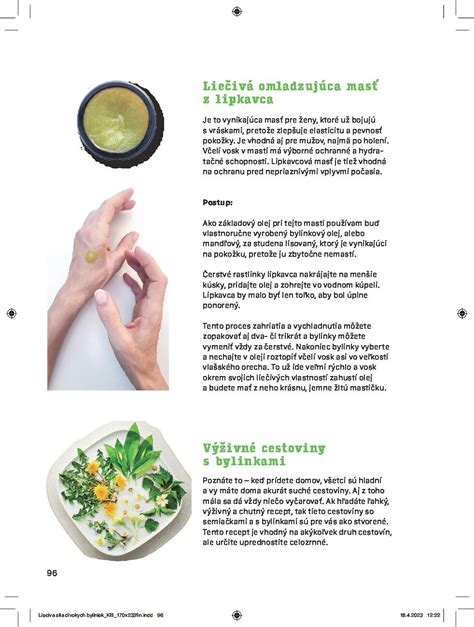 Infografika porovnávajúca nutričné hodnoty divokých byliniek a šľachtenej zeleniny