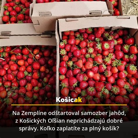 Infografika s kalendárom hnojenia jahôd: jar, jún a jeseň