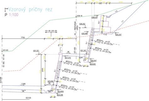 Priečny rez kmeňom hrabu