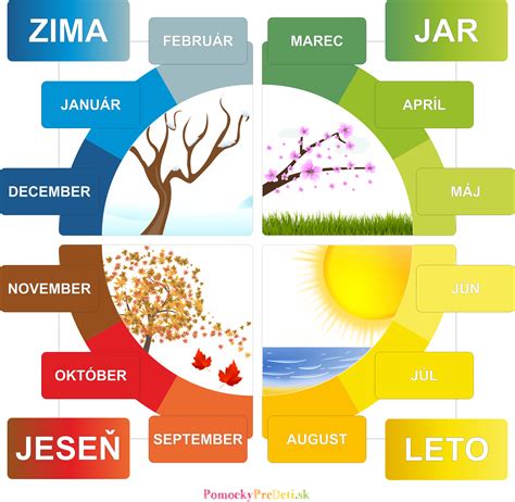 Kalendár hnojenia bonsajov rozdelený podľa ročných období a fáz rastu stromu