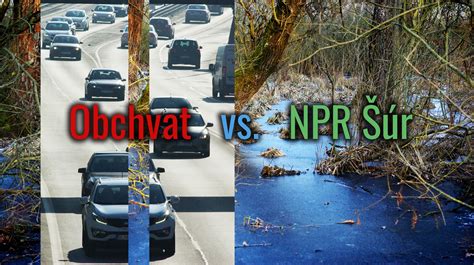 Infografika: Prehľad bežných záhradných škodcov a spôsoby prírodnej ochrany