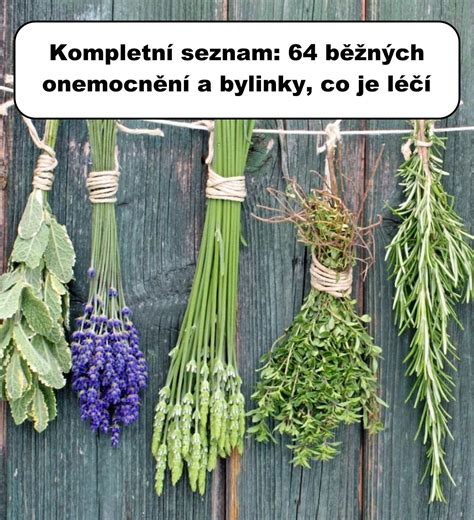 Obrázok zobrazujúci rôzne bylinky a potraviny, ktoré pomáhajú neutralizovať cesnakový zápach