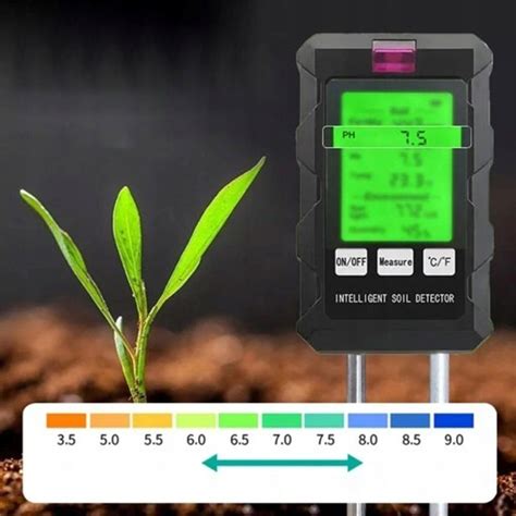 Infografika správneho polievania kávovníka: kontrola vlhkosti substrátu a rosenie listov