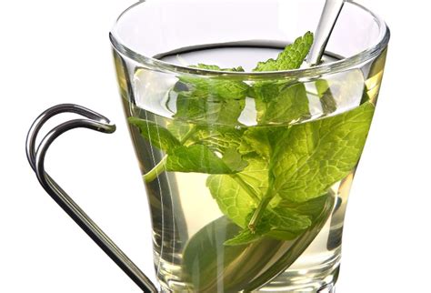 Tematické foto: Zber čerstvej mäty