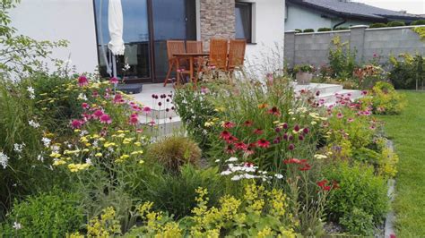 schéma výsadby Vigny v záhrade