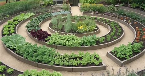 Schéma záhrady s rozdelením na zeleninovú, ovocnú a okrasnú časť pre májové práce