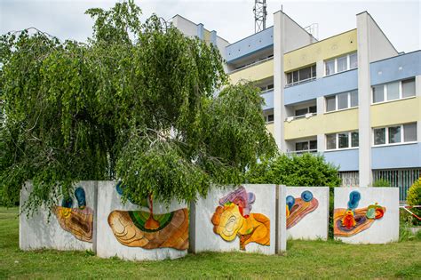 Schéma procesu: Od nápadu po výsadbu stromu a osadenie lavičky vo verejnom priestore.