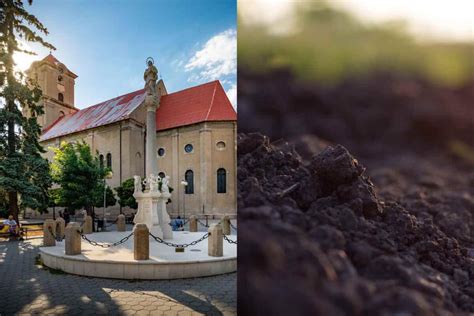 Tematická fotografia: Kopa kvalitnej zeminy pripravenej na dovoz s pozadím vidieckej krajiny