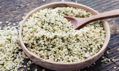 Tematické foto: konopné semená v dlani