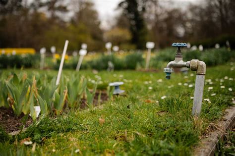 Tematické foto: Záhradník s ručným riadkovačom v záhrade