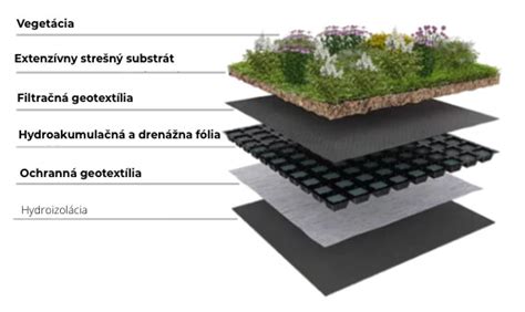 Diagram alebo foto ilustrujúce správnu hrúbku mulčovacej vrstvy okolo rastliny